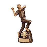 CRICKET TROPHY 3 SIZES AVAILABLE ENGRAVED FREE CRICKETER FIELDER STUMPS TROPHIES 