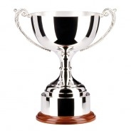 Silver Trophies & Nickel Plated cups
