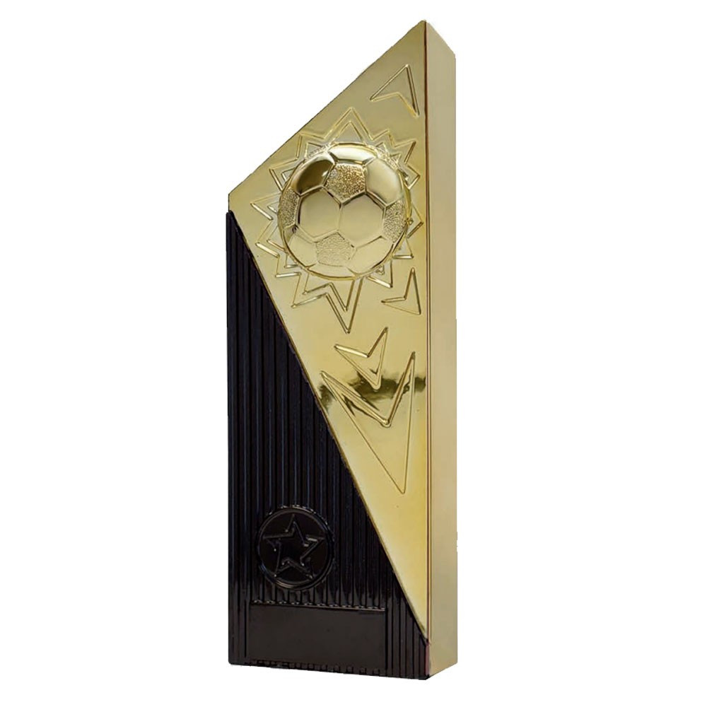Titan Gold Football Heavyweight Award