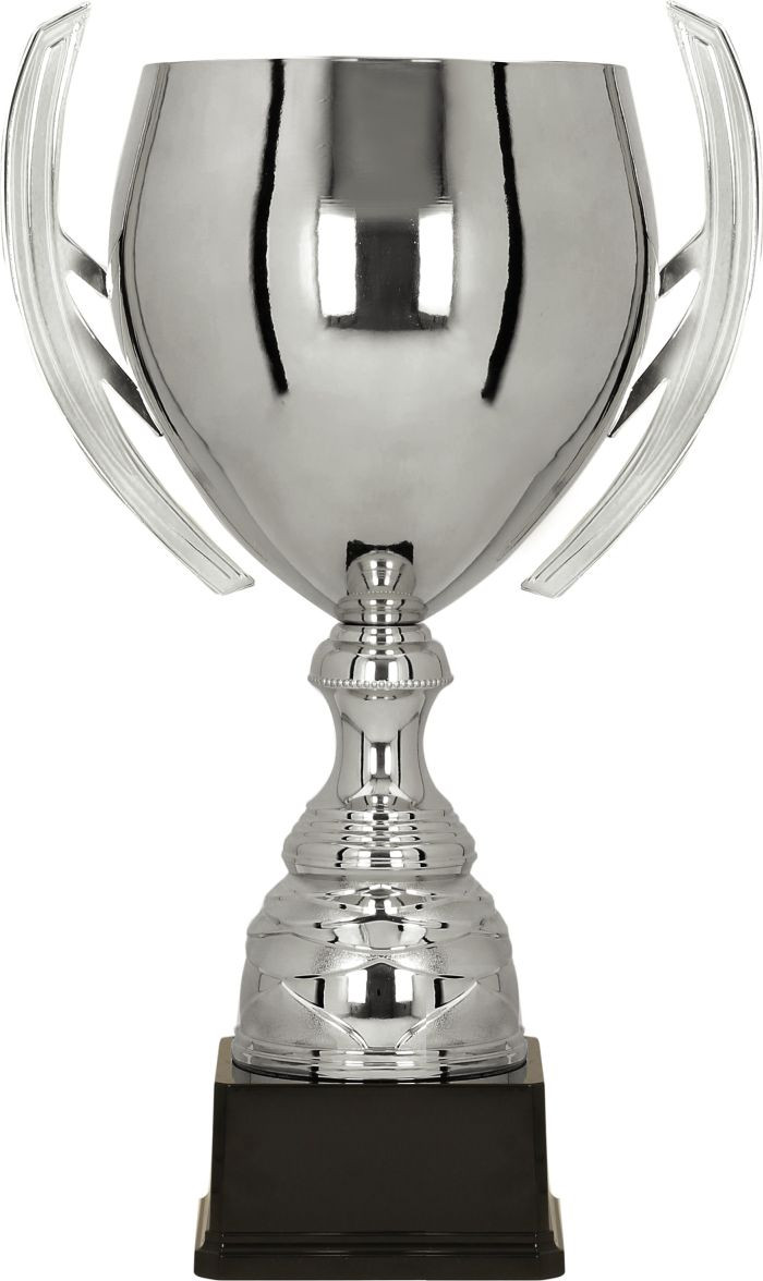 Silver Cup on Black Base
