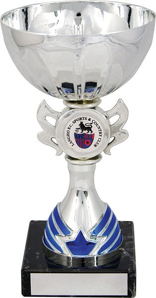 Silver Cup with Blue Trim Trophy