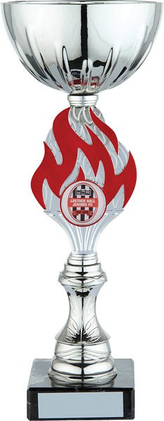 Silver Cup with Red Flame Trophy