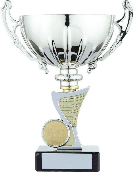 Silver Cup with Gold Trim Trophy