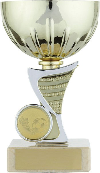 Gold Cup with Silver Trim Trophy