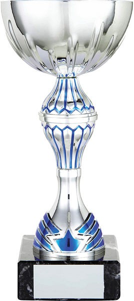 Silver Cup with Blue Trim Trophy