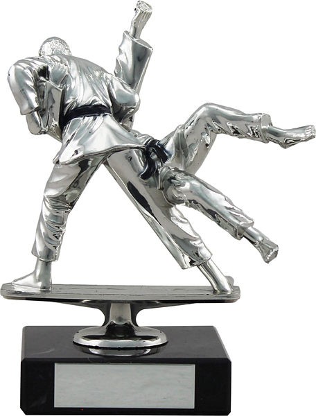 Silver Martial Arts Trophy