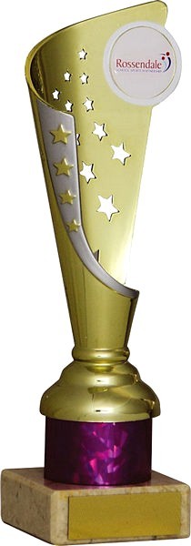 Gold and Silver Star Flute Trophy
