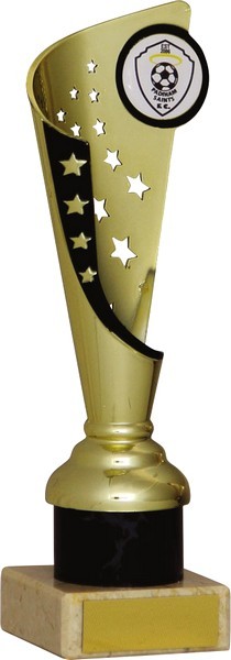 Gold and Black Star Flute Trophy