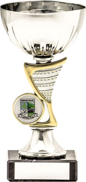 Silver Cup Trophy