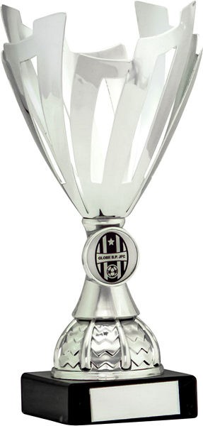 Silver Cup Trophy