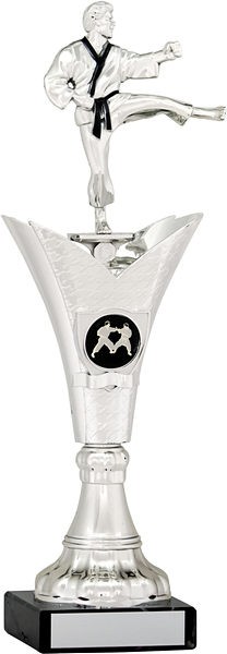 Silver Martial Arts Trophy