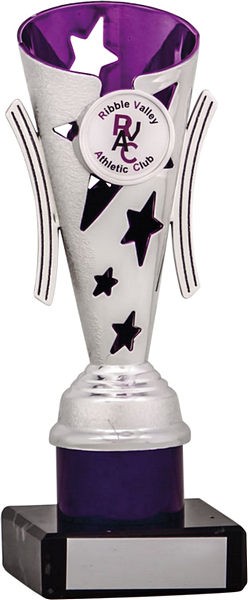 Silver and Purple Star Flute Trophy