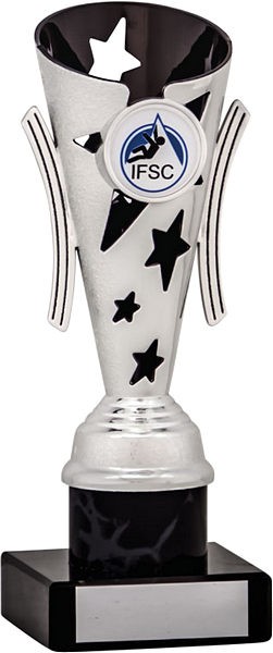 Silver and Black Star Flute Trophy