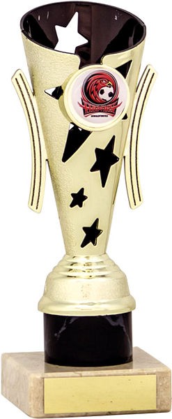 Gold and Black Star Flute Trophy