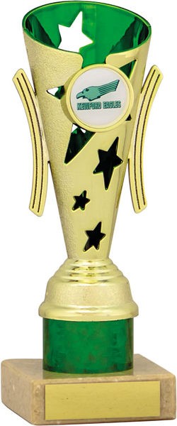 Gold and Green Star Flute Trophy