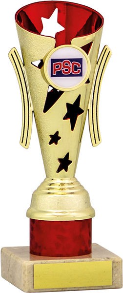 Gold and Red Star Flute Trophy
