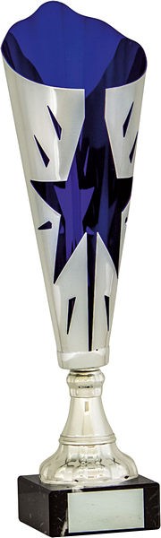 Silver and Blue Star Flute Trophy