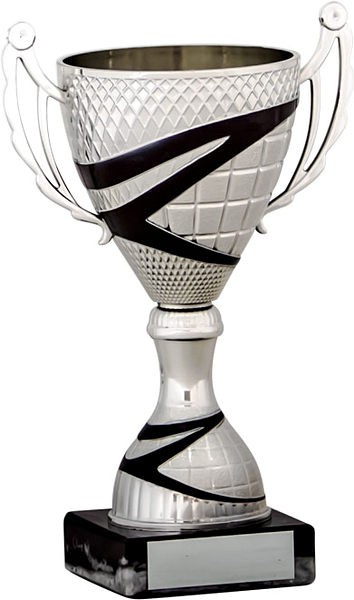 Silver Cup with Black Stripe Detail