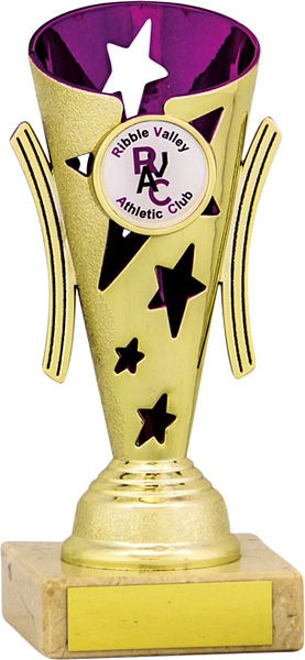 Gold and Purple Star Flute Trophy