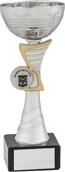 Silver and Gold Classic Cup on Black Base