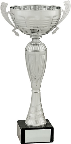 Silver Cup with Handles on Black Base