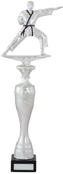Tall Silver Martial Arts Trophy On Marble Base