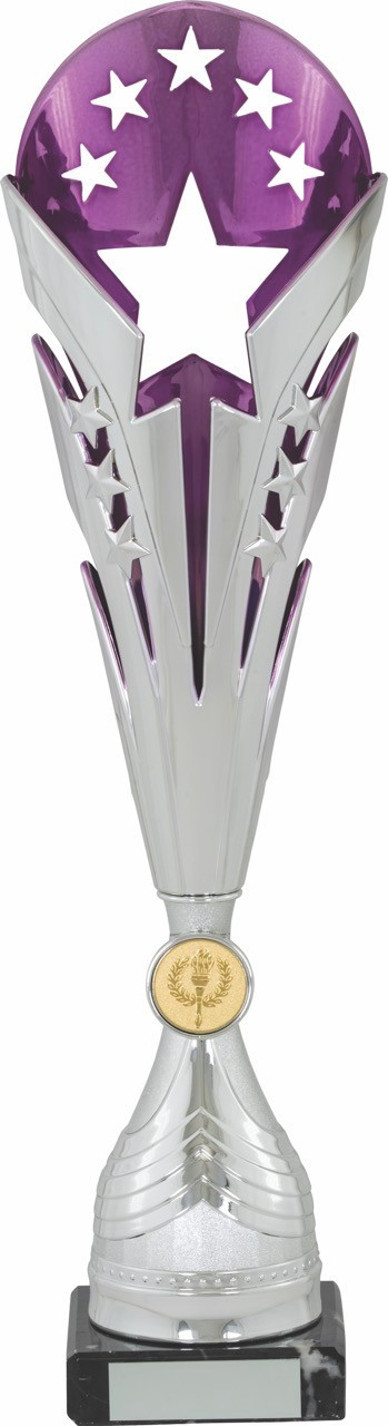 Purple and Silver Multi-Star Flute Award on Black Marble Base