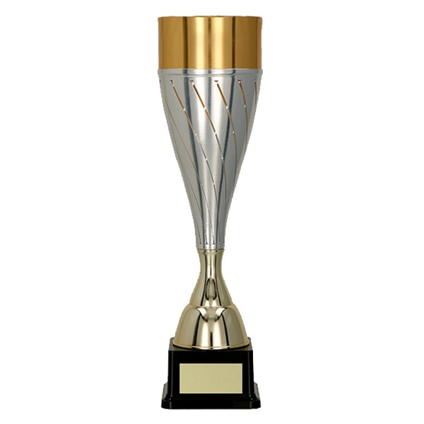 Silver / Gold Fluted Cup