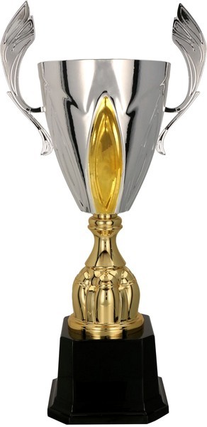 Silver and Gold Presentation Cup on Black Base