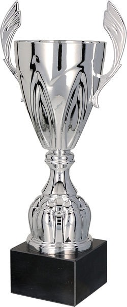 Silver Cup Trophy with Handles