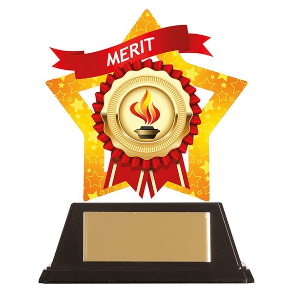 Mini-Star Merit Acrylic Plaque 