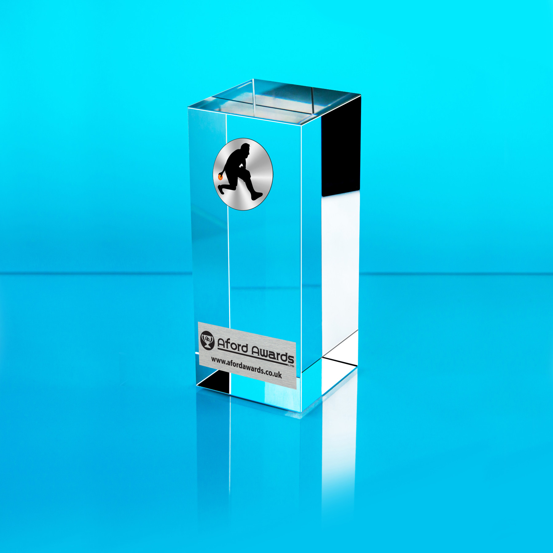 Bowls Glass Cube Award