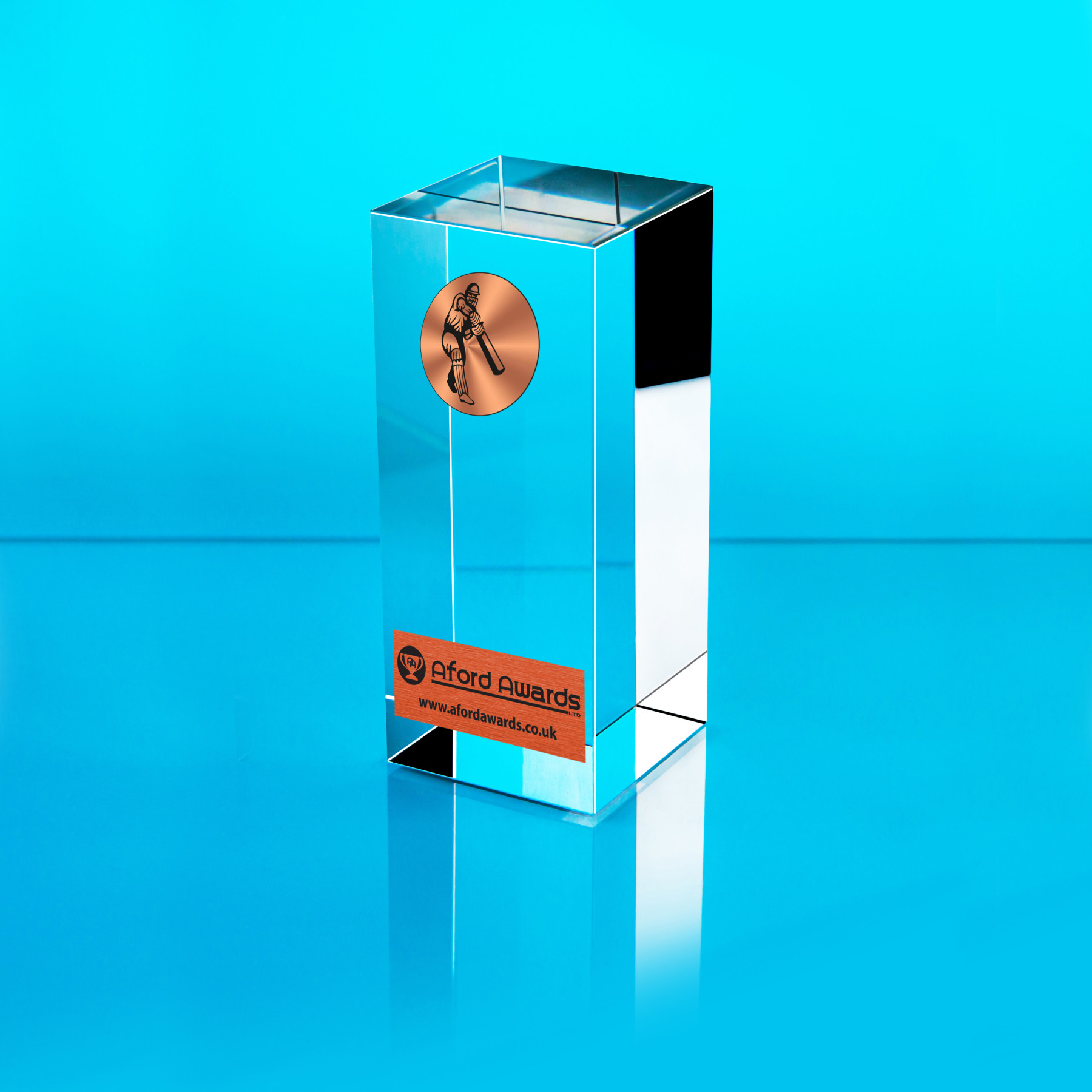 Cricket Glass Cube Award