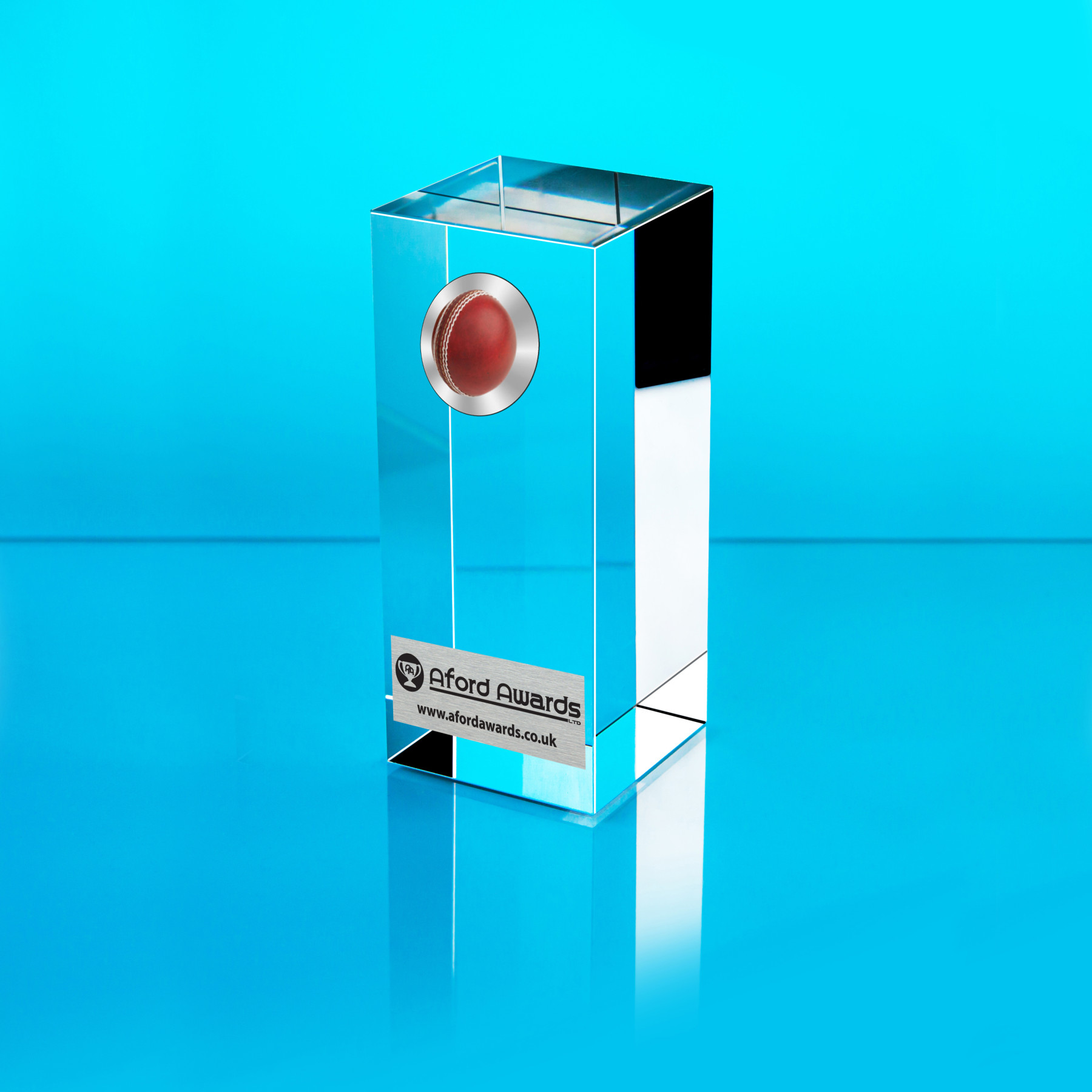 Cricket Glass Cube Award