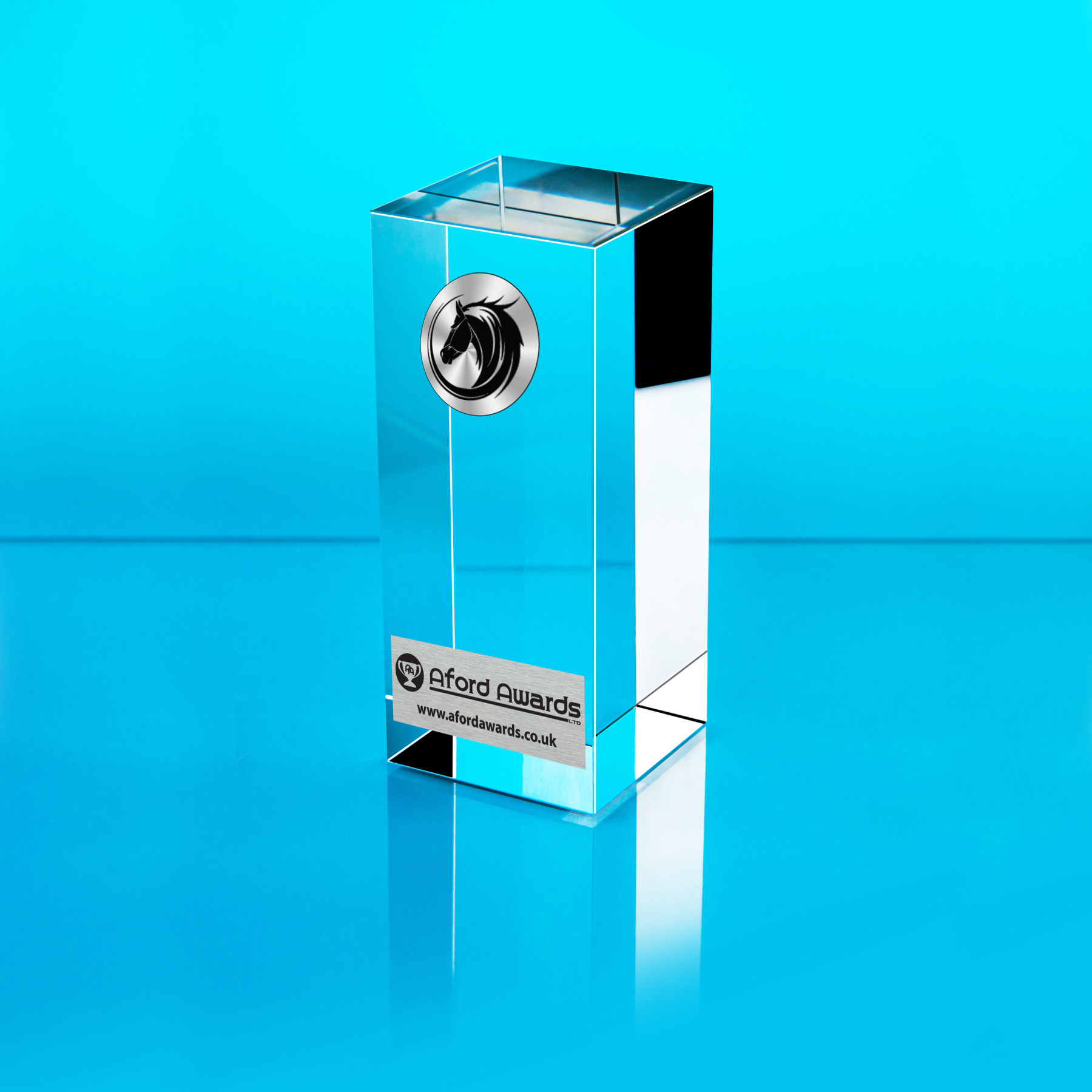 Equestrian Glass Cube Award