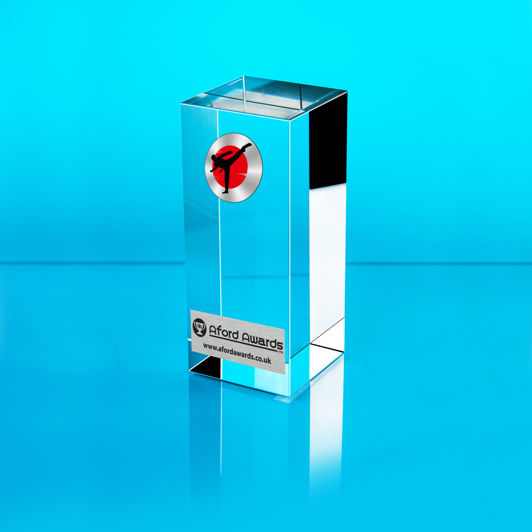 Taekwondo Glass Cube Award
