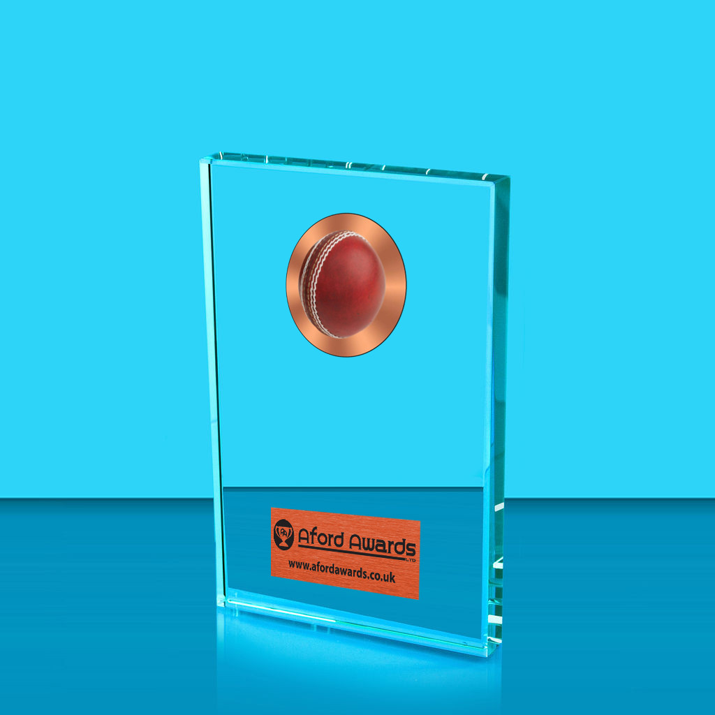 Cricket Crystal Rectangle Award