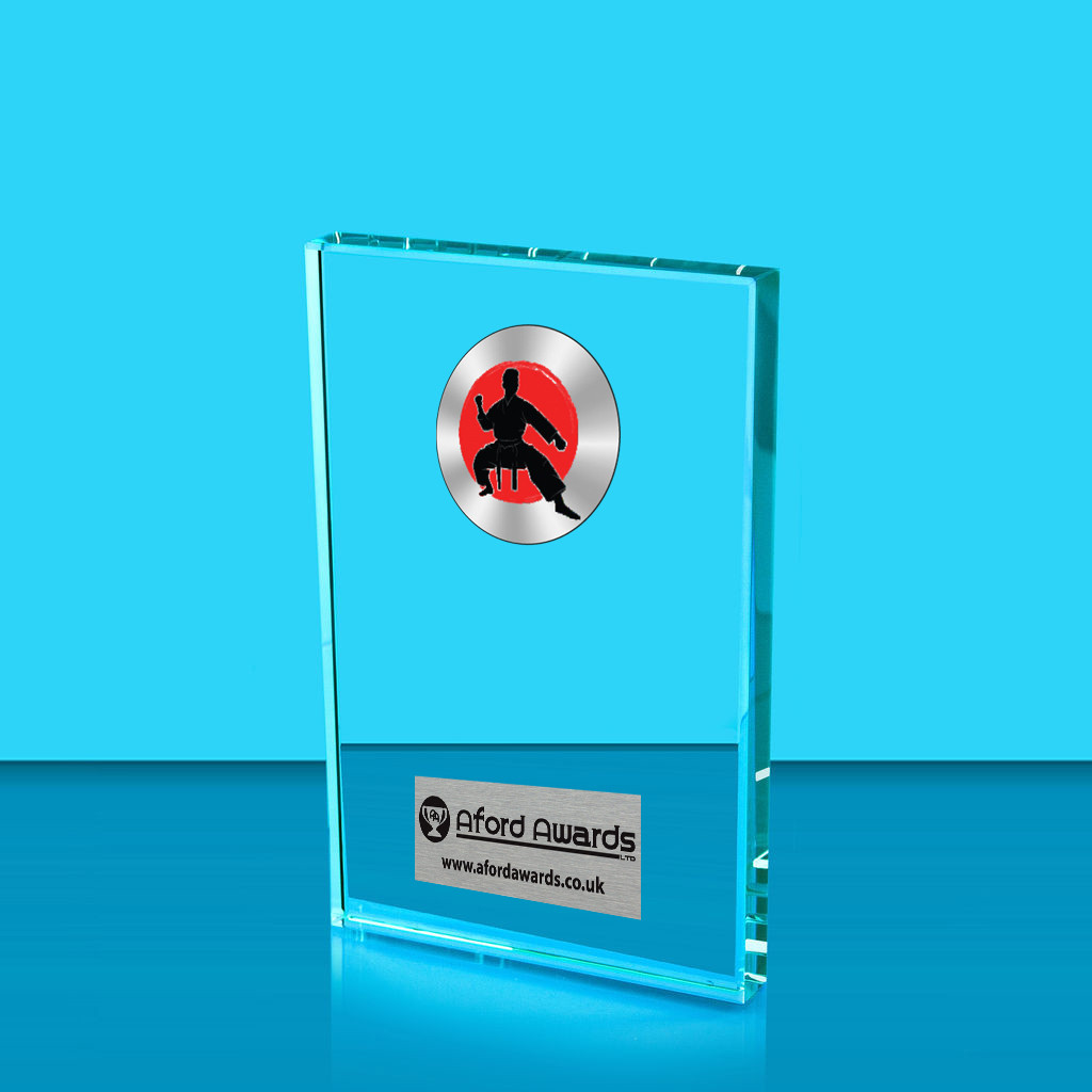 Martial Arts Crystal Rectangle Award