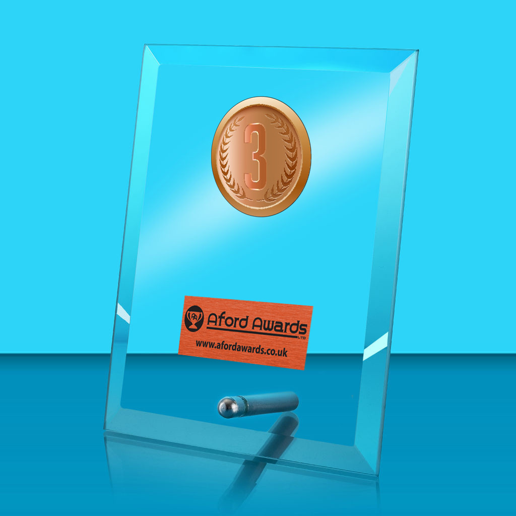 1st, 2nd & 3rd Place Glass Rectangle Award with Metal Pin