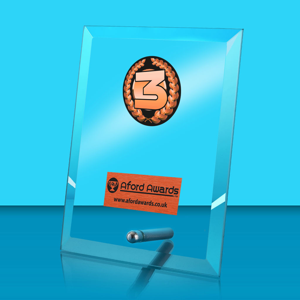 1st, 2nd & 3rd Place Glass Rectangle Award with Metal Pin