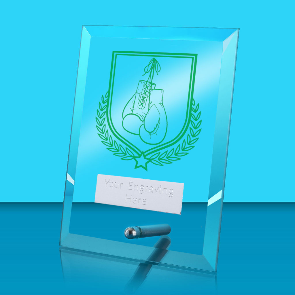 UV Colour Printed Boxing Glass Rectangle Award with Metal Pin