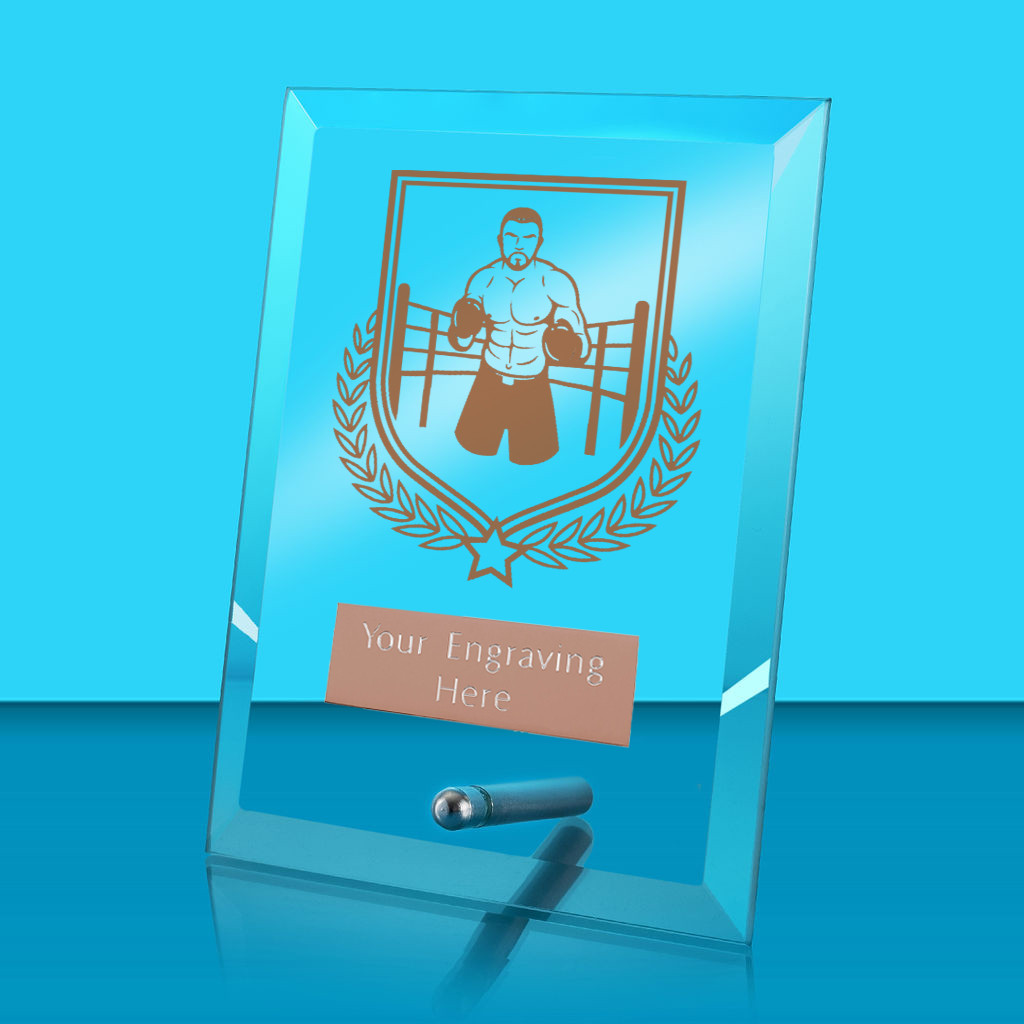 UV Colour Printed Boxing Glass Rectangle Award with Metal Pin