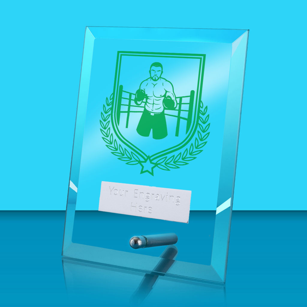 UV Colour Printed Boxing Glass Rectangle Award with Metal Pin