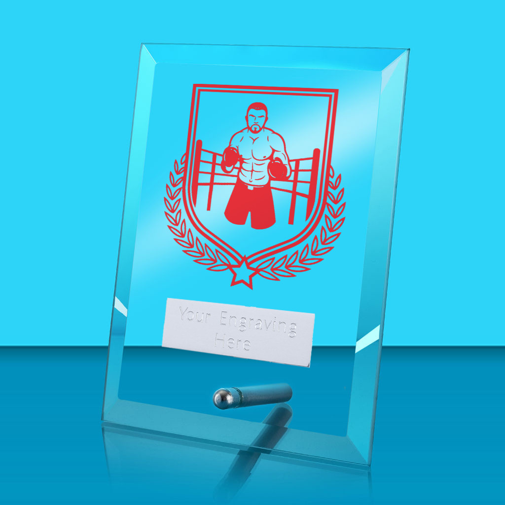 UV Colour Printed Boxing Glass Rectangle Award with Metal Pin