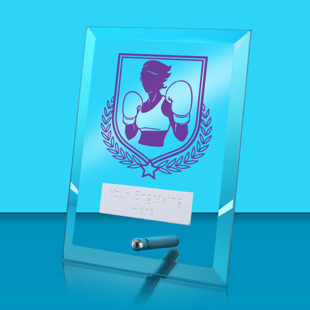 UV Colour Printed Boxing Glass Rectangle Award with Metal Pin