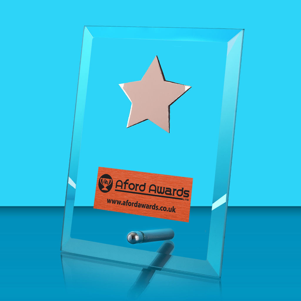 Glass Rectangle Award and Pin with Star
