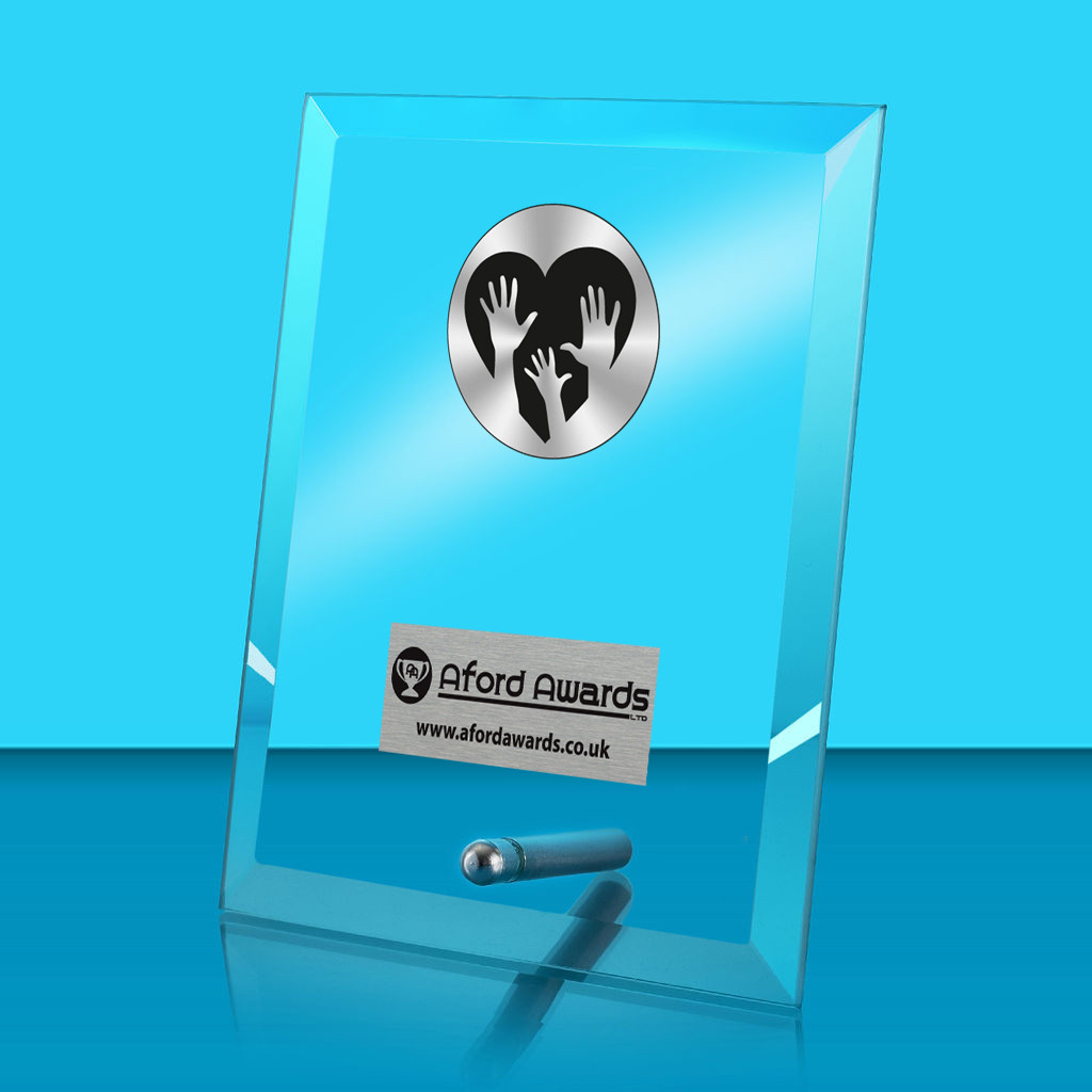 Charity Glass Rectangle Award with Metal Pin