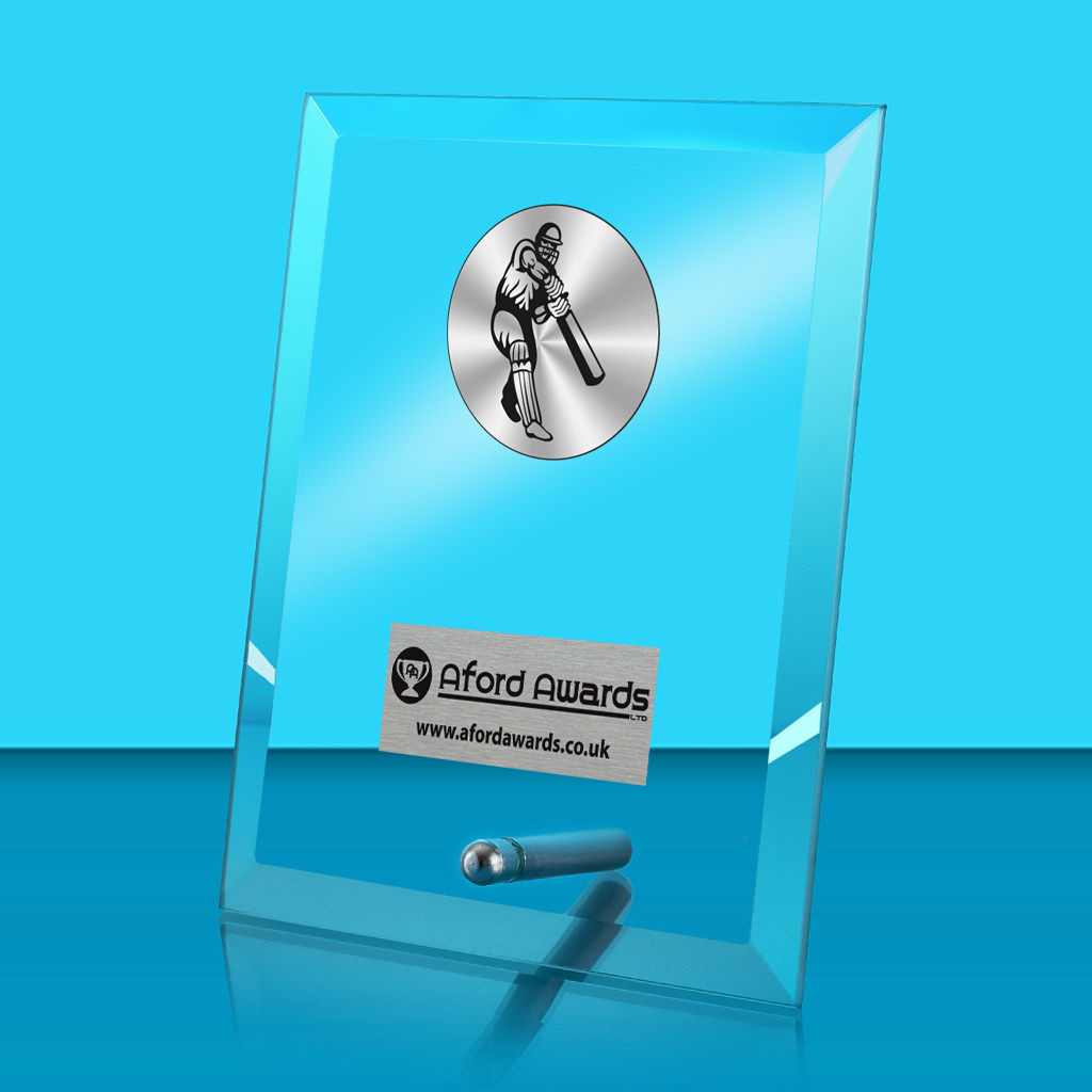 Cricket Glass Rectangle Award with Metal Pin