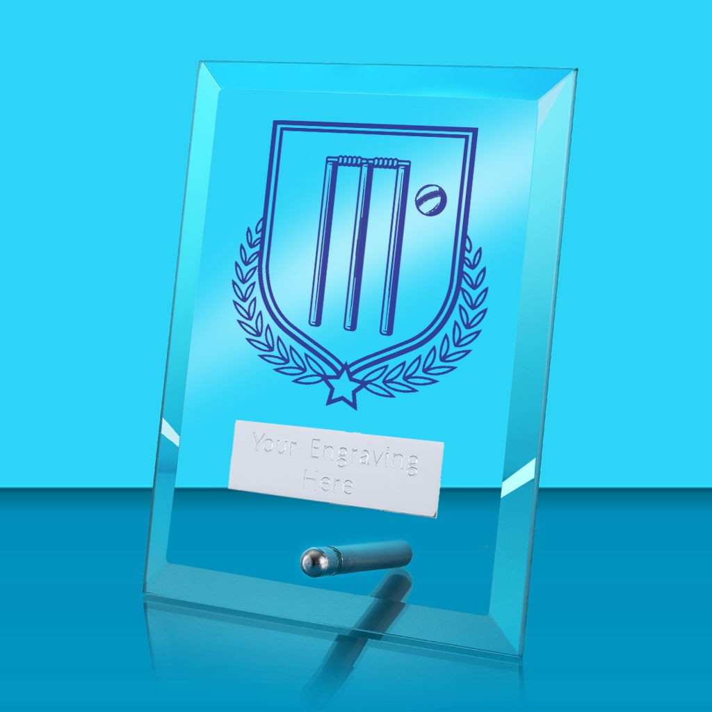 UV Colour Printed Cricket Glass Rectangle Award with Metal Pin