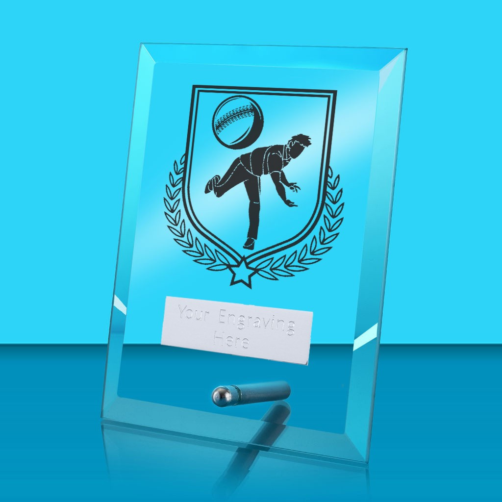 UV Colour Printed Cricket Glass Rectangle Award with Metal Pin
